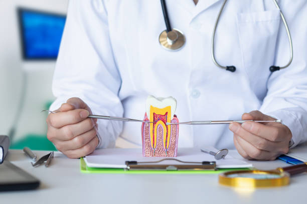 Best Emergency Wisdom Teeth Removal in New Market, TN